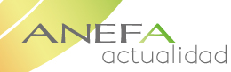 ANEFAactualidad