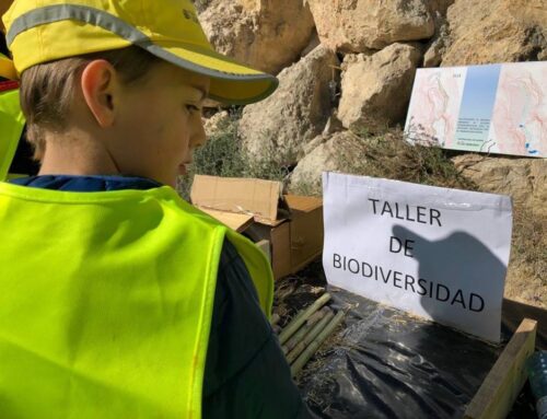 Día Mundial de la Educación Ambiental: el compromiso de los áridos