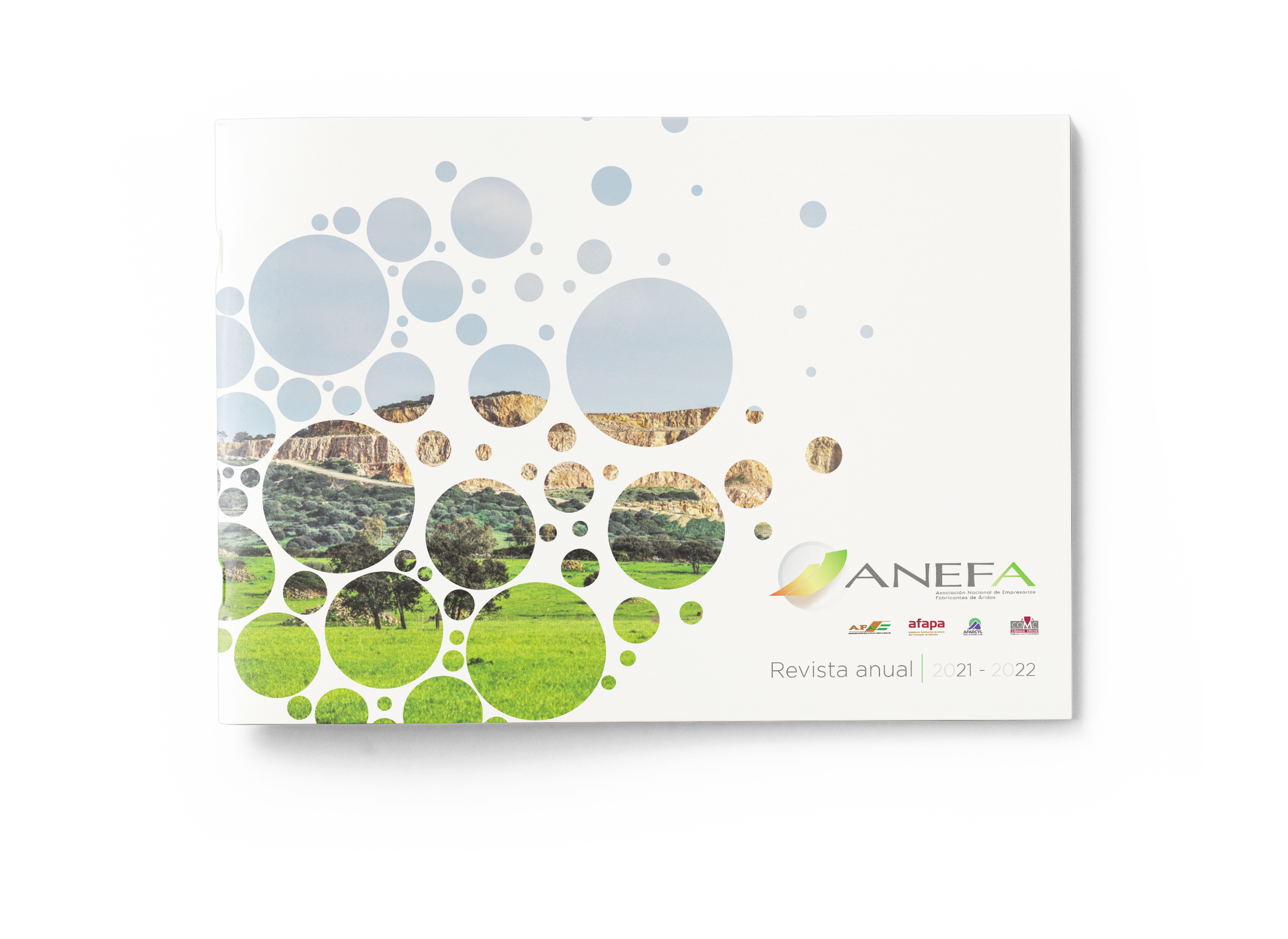 Revista anual ANEFA 2018-2019