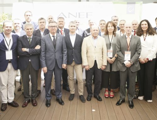 Asamblea General Electoral de ANEFA: nuevas confirmaciones