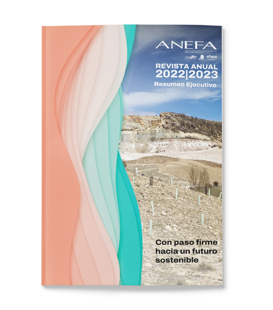 Revista anual ANEFA 2018-2019