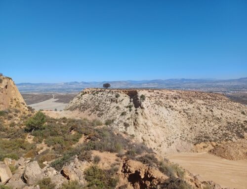 Rotate: reunión del Follower Projects Steering Committee 2026