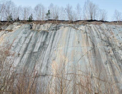 SCIMIN-CRM: reunión del International Advisory Board