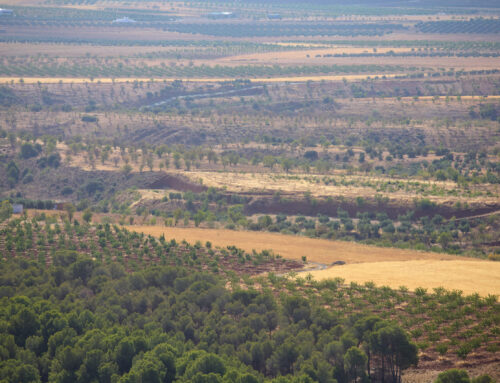 Publicada la nueva Directiva Europea de Vigilancia y Resiliencia del Suelo