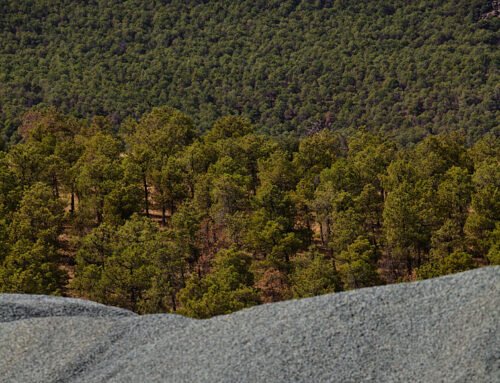El suelo y los áridos, en la base de todo