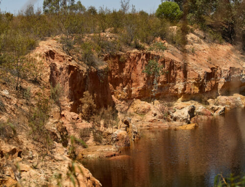 Directiva de la vigilancia y resiliencia del suelo y sus antecedentes