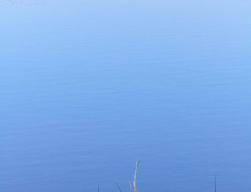 Los proyectos europeos SCIMIN-CRM y Rotate y la gestión sostenible del agua