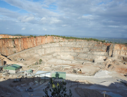 Webinar Rotate: indicadores de biodiversidad