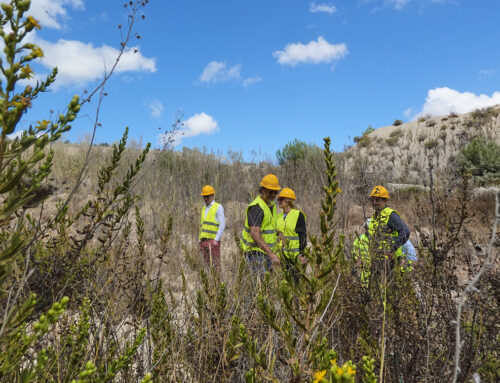 La vida silvestre y los áridos