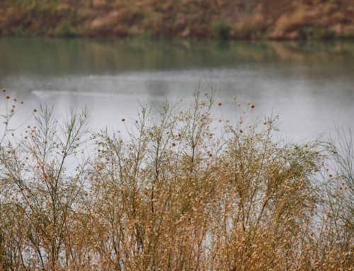 Nueva guía europea para la aplicación de la normativa de aguas en proyectos de materias primas minerales