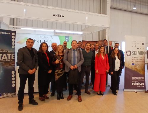 ANEFA en SMOPYC 2026:  Junta Directiva