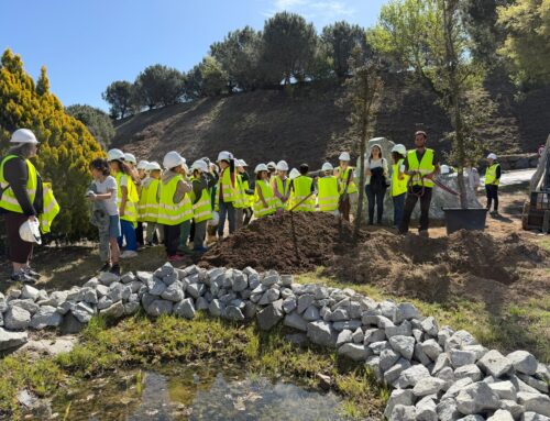 El sector de los áridos celebra hoy el XVII Día de los Árboles, los Áridos y la Biodiversidad
