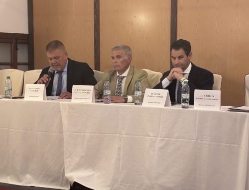 Asamblea General de AFA Andalucía en Antequera