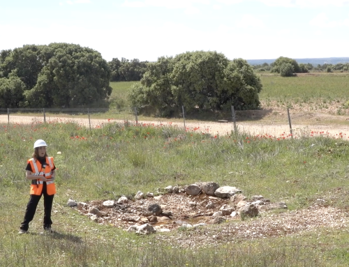 Balsas de agua, una oportunidad para la biodiversidad
